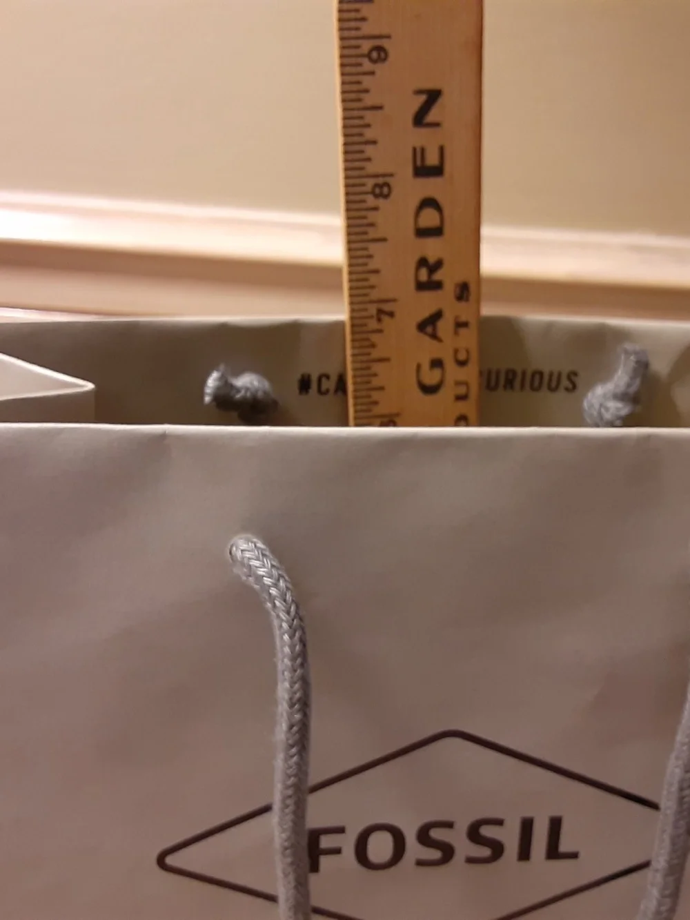 Fossil Gift Bag